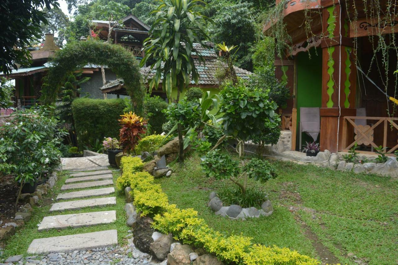 Junia Guesthouse Bukit Lawang Exterior foto