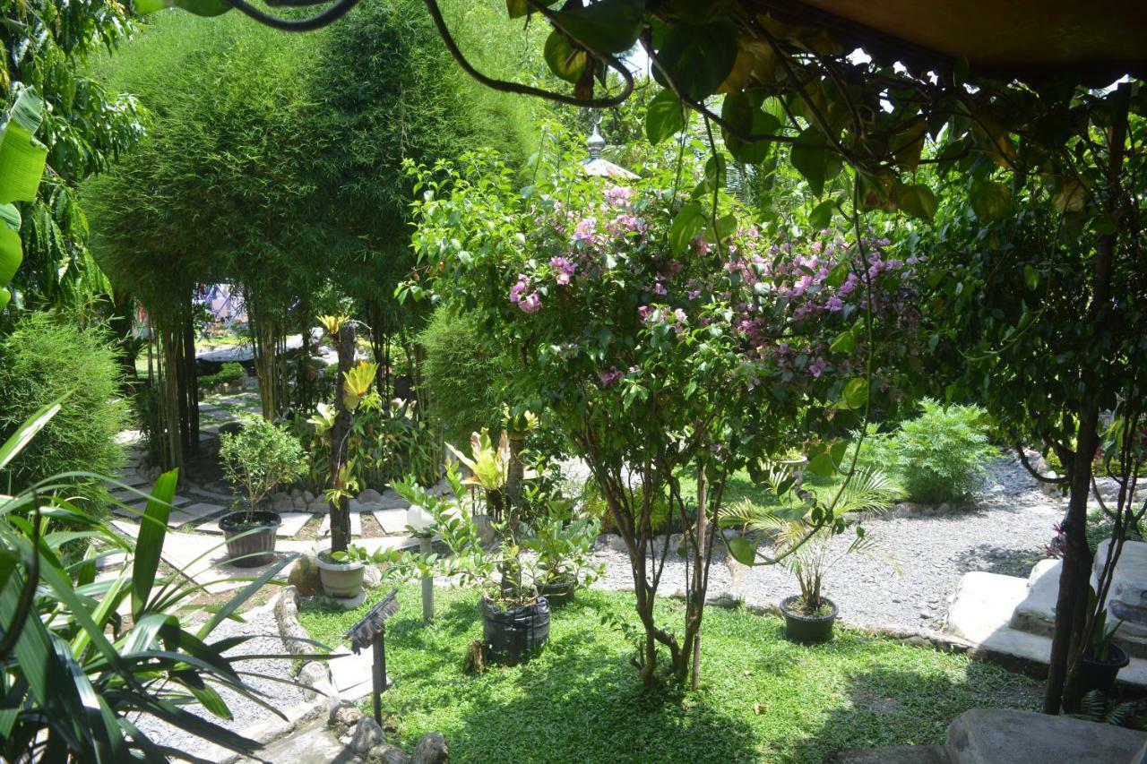 Junia Guesthouse Bukit Lawang Exterior foto